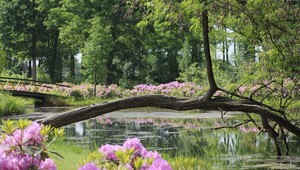 Schloss Cannenburch